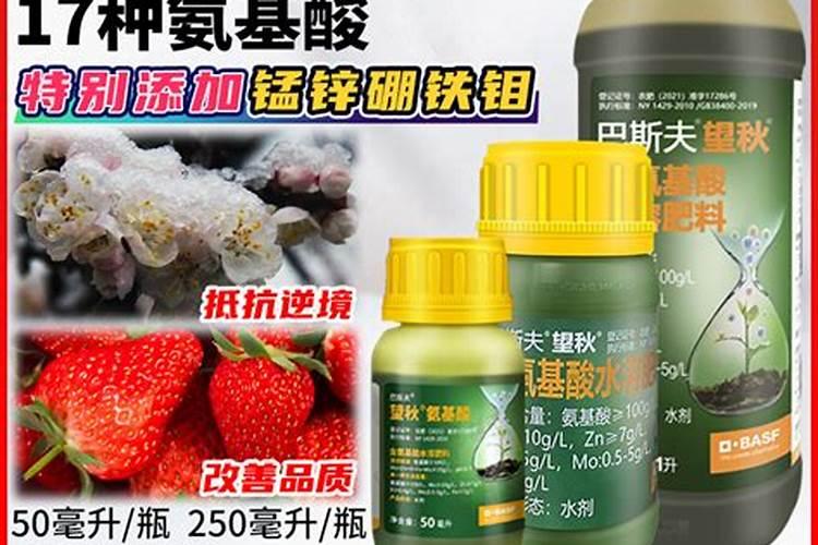 果树全年都使用水溶肥可以吗