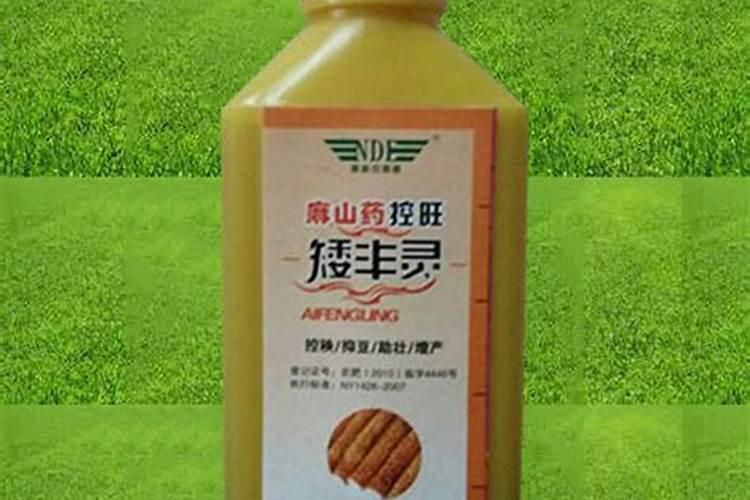 怎么管理能提高西红柿坐果率？