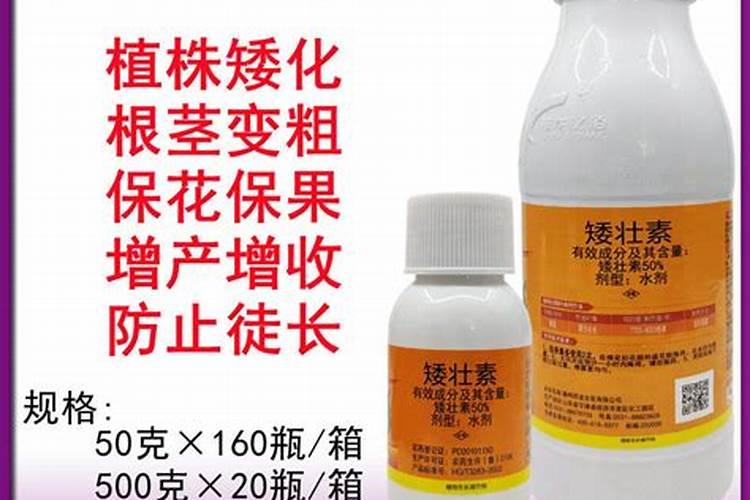 怎么管理能提高西红柿坐果率？