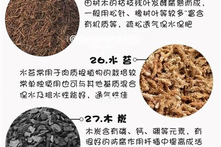 结球甘蓝的施肥有哪些技术要求？