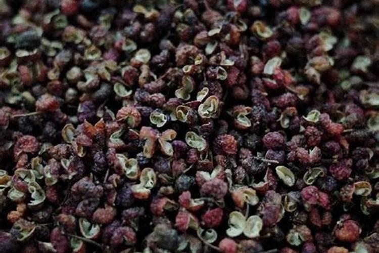 花椒花期用什么叶面肥
