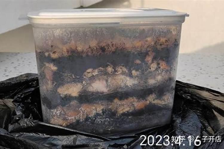米兰用什么肥料最好