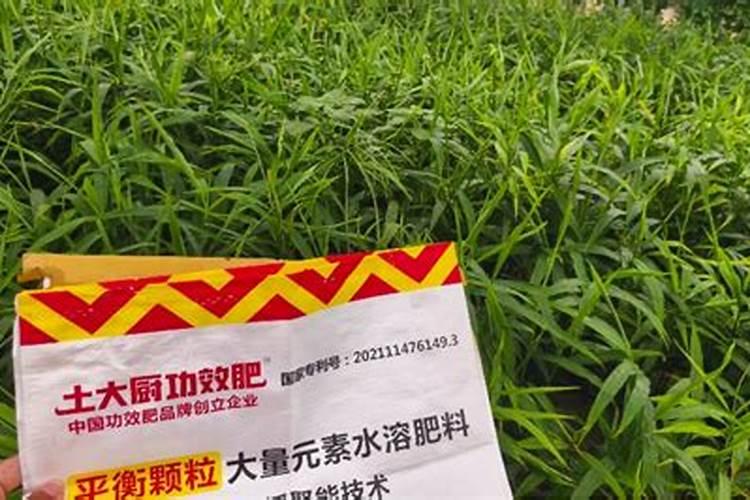 水溶肥怎么用效果好