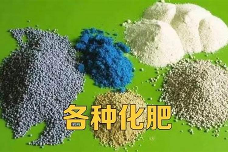 硼肥科学合理使用硼肥