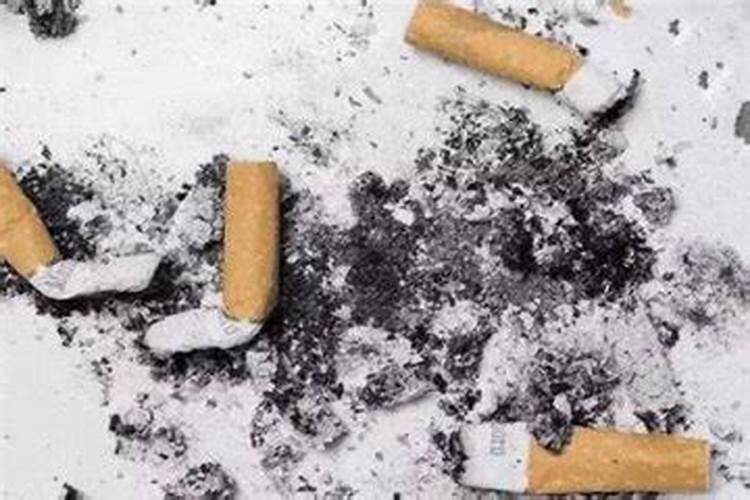 蝴蝶兰怎么养？好活吗？