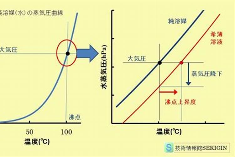 菠菜黑根什么原因,怎么防治？