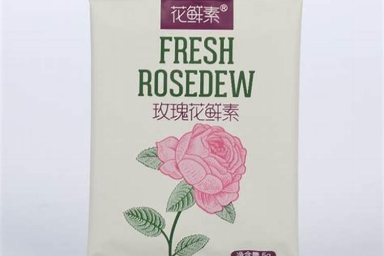 兰花喷叶面肥和浇水需要注意些什么