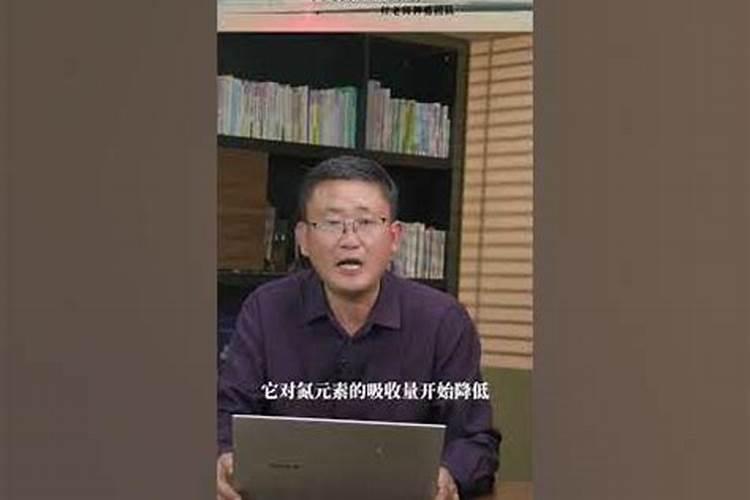 果树增甜用什么肥料？