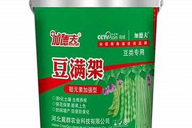 大棚豆角的种植技术及管理