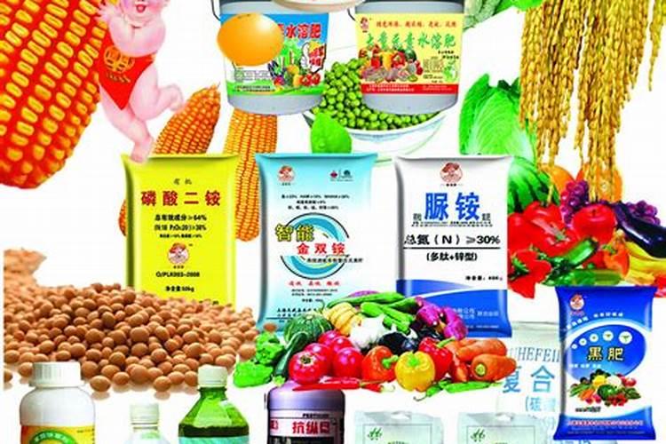 释迦果的籽能干什么
