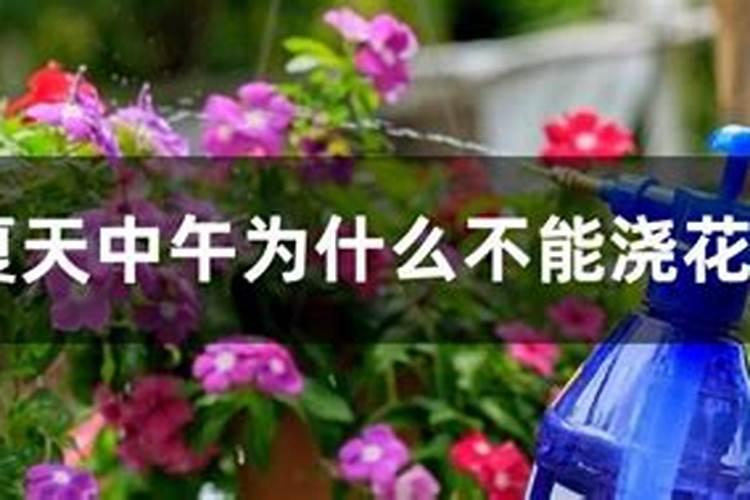 氮肥撒在玉米地浇不上水管用吗？