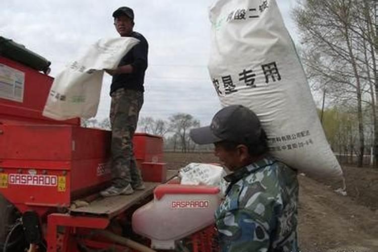 氯化钾上水田地啥时候用？