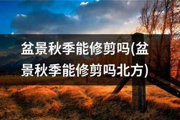 植物防冻剂能兑拢硼肥我磷酸二氢钾施用吗