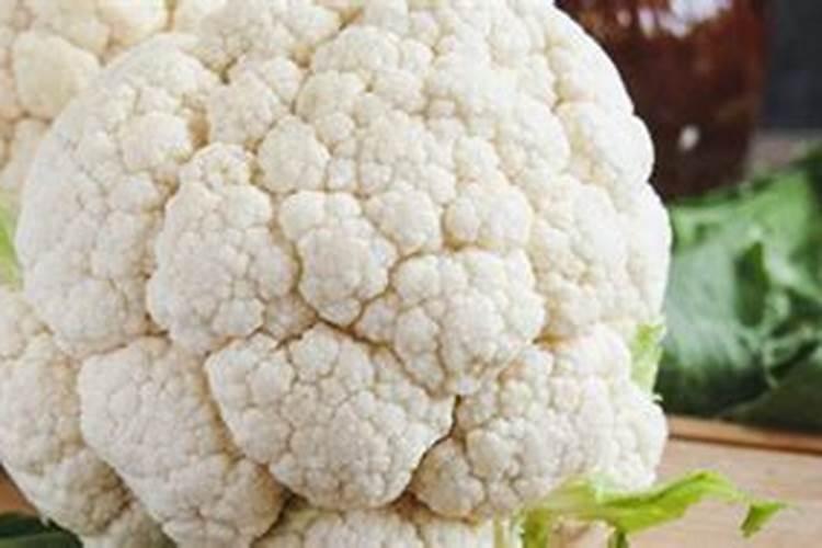 种花菜用什么肥料最好