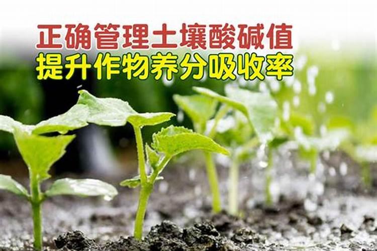 盐的来源 食盐的来历
