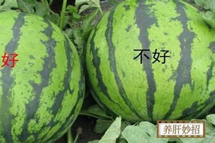一亩地用多少硼肥 如何正确施硼肥