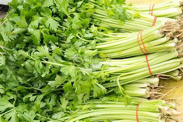 芹菜上什么肥料长得粗