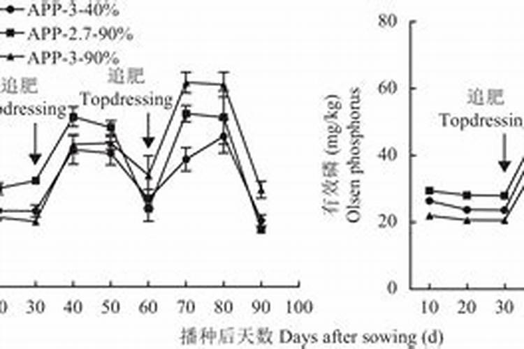 简述提高农田磷肥利用率的主要措施