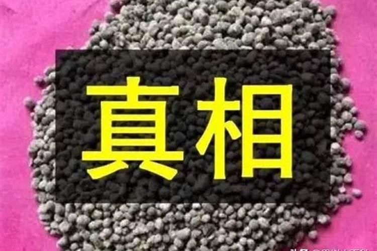 尿素化成水可以给大葱惯根吗？