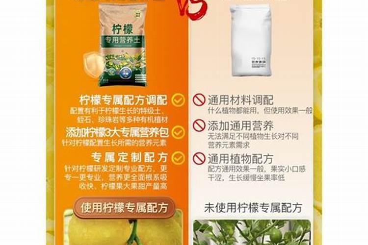 柠檬树冬天施肥吗