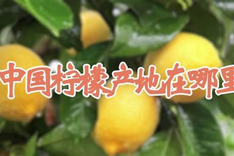 柠檬树冬天施肥吗