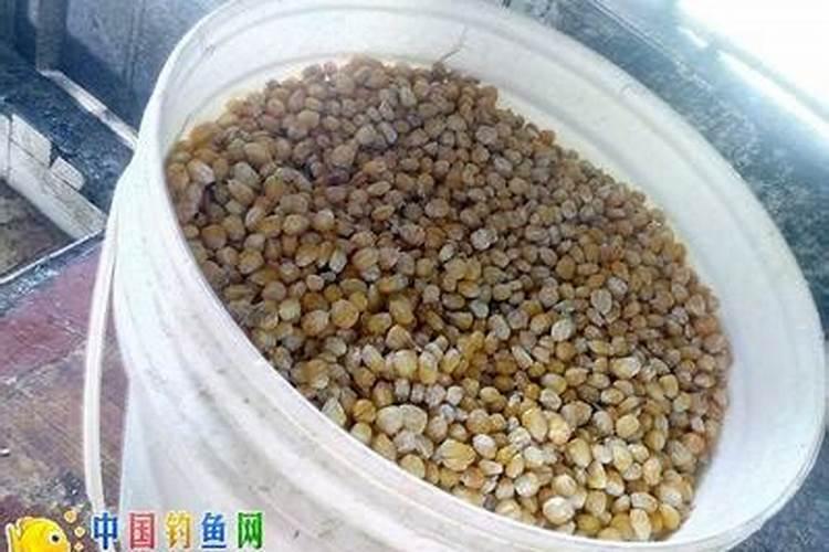 发霉的玉米怎么发酵成农家肥？