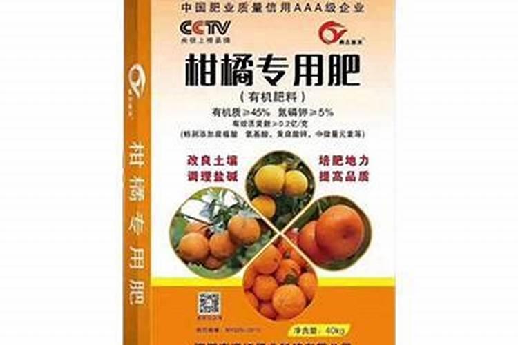 果树移植后应该施什么肥料