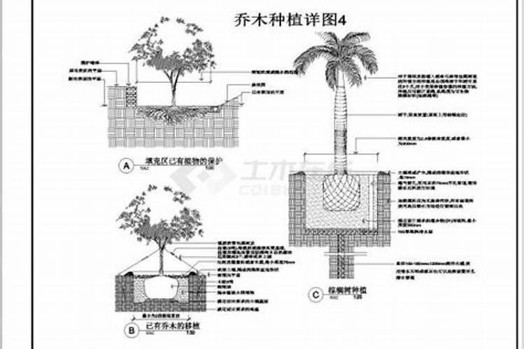 园林灌木多久浇水一次 园林灌木的浇水技巧