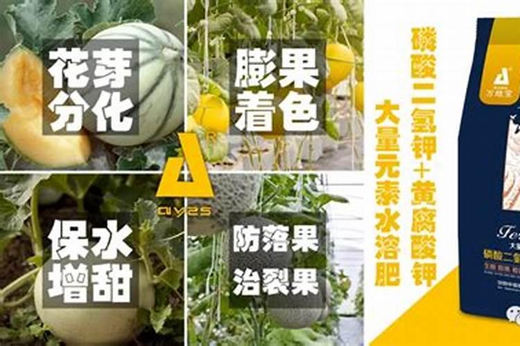 有知道黄腐酸肥料的使用注意事项有哪些？