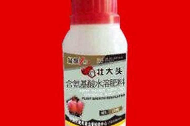 陕西渭南有没有鱼腥草种植？