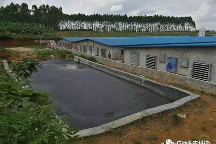人畜的粪 是哪种肥？ 是 氮肥？是磷肥？还是 钾肥？