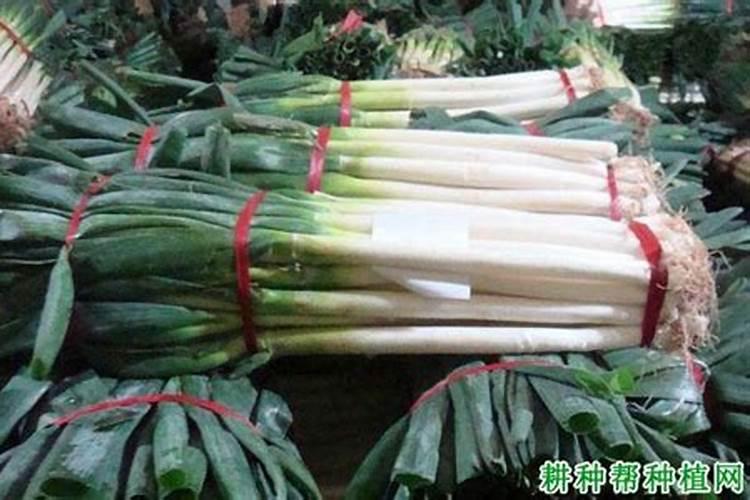 钾肥一亩地上多少 关于钾肥的信息简介