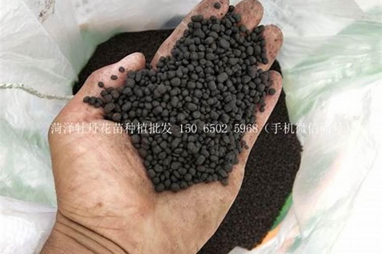 牡丹花用什么肥料好