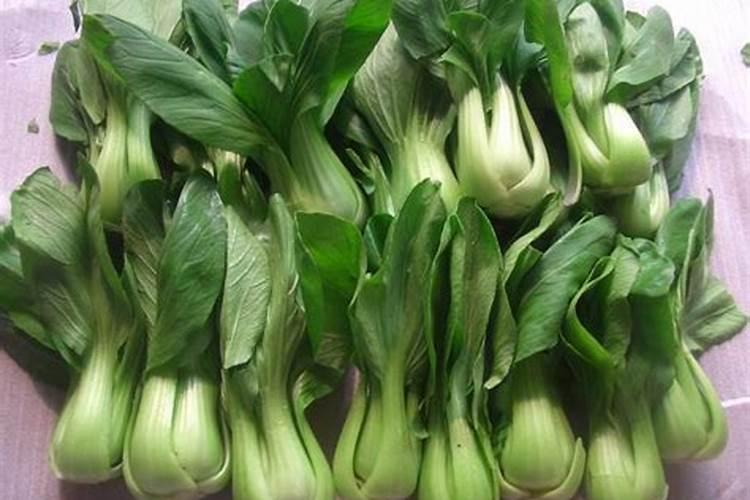 大棚西葫芦冲施什么肥好