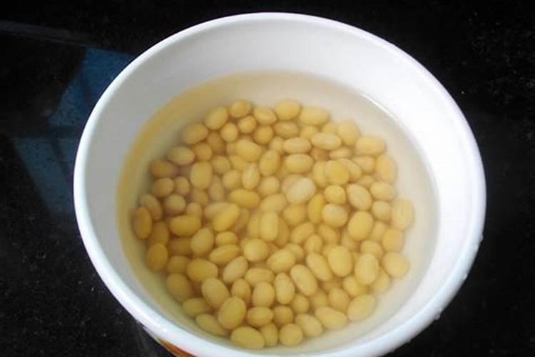 黄豆水适合浇什么花