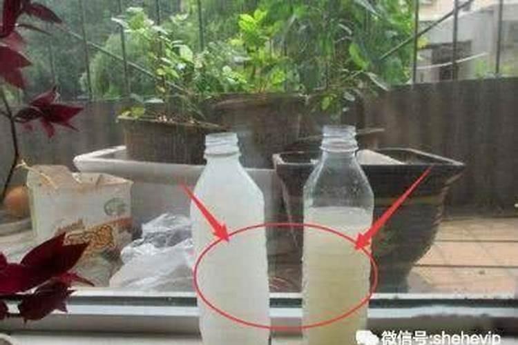 控释肥一盆放几颗