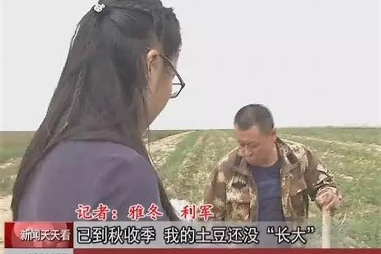 俄罗斯钾肥为什么是红色