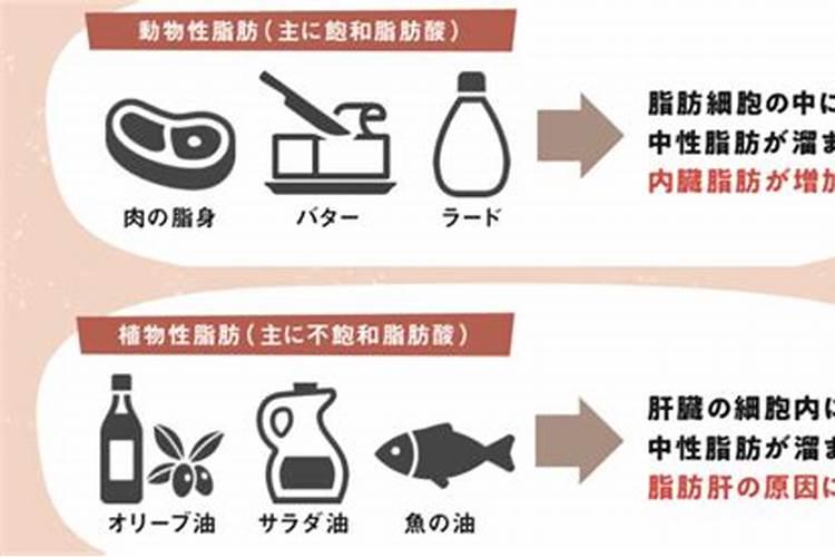 芸苔素内酯内脂素可以灌根吗