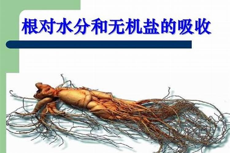 磷肥能撒在地面上吗