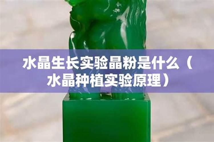 水稻叶面肥哪种好 如何正确喷施