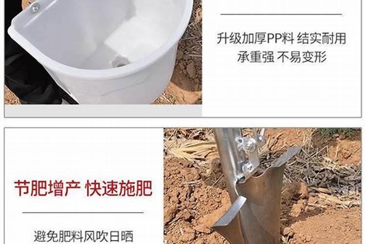 请间老师木瓜的主要病虫害有那几