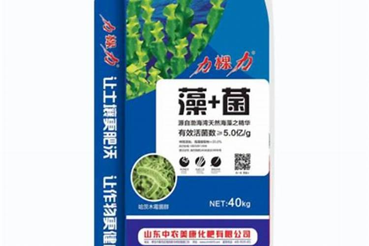 水产养殖先培藻还是先培菌 水产养殖先培藻还是先培菌啊