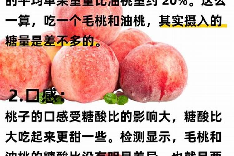 中国叶面肥十大品牌