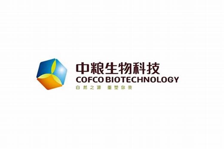 生物燃料的国外现状
