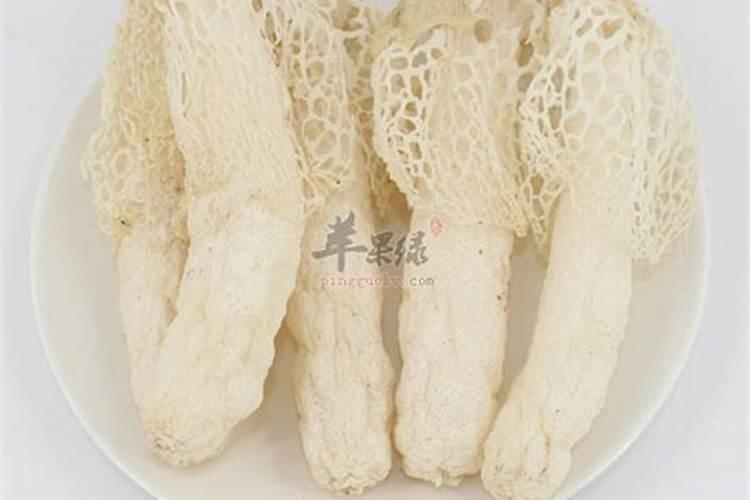 茶树能使用芸苔素吗
