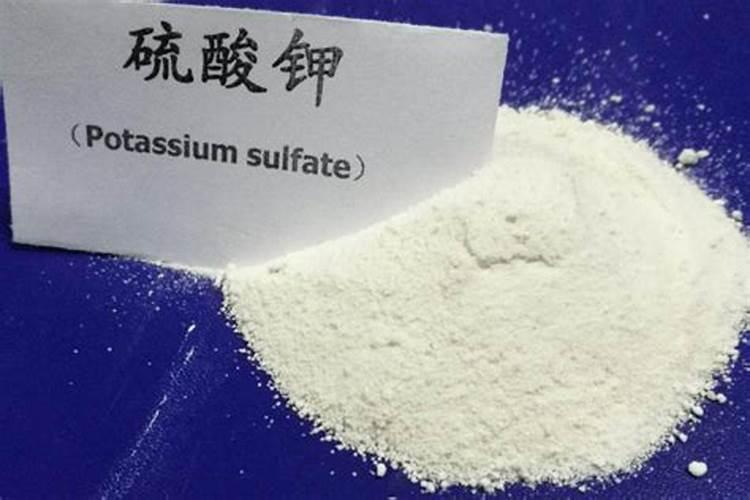 鲜花放水里加什么可以让鲜花保鲜