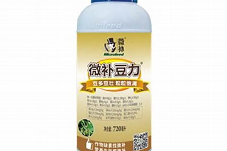 小青柑应该怎样存放