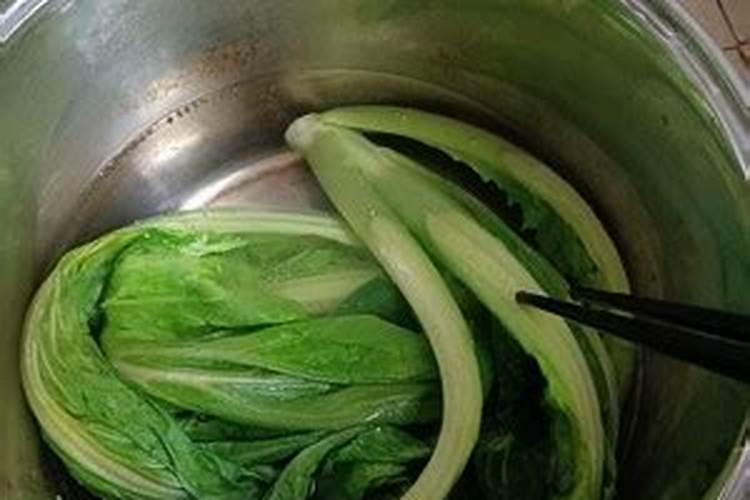 小白菜多久施肥