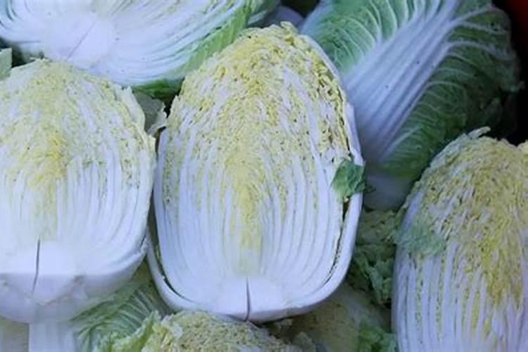 请问老师种白菜萝卜,施什么肥？