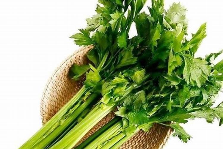 芹菜施肥用什么肥料